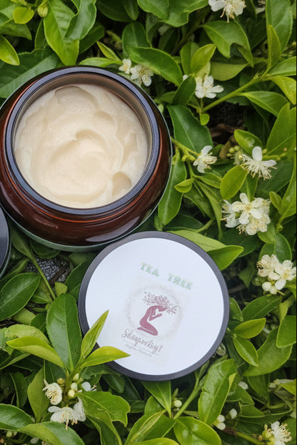 TEA TREE Organic Skin Oil Butter Oil 8oz